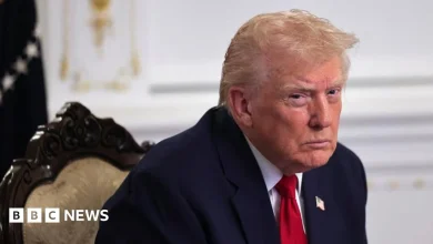 Trump says US will 'permanently pause migration' from 'third world countries'