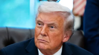 Trump says he is committed to ongoing ICE raids: 'They haven't gone far enough'