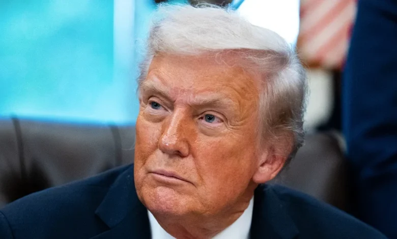 Trump says he is committed to ongoing ICE raids: 'They haven't gone far enough'