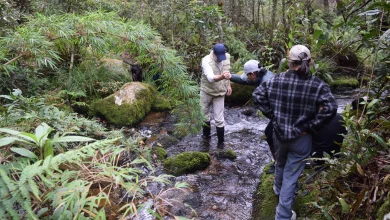 Turismo de naturaleza: una oportunidad para conservar la vida