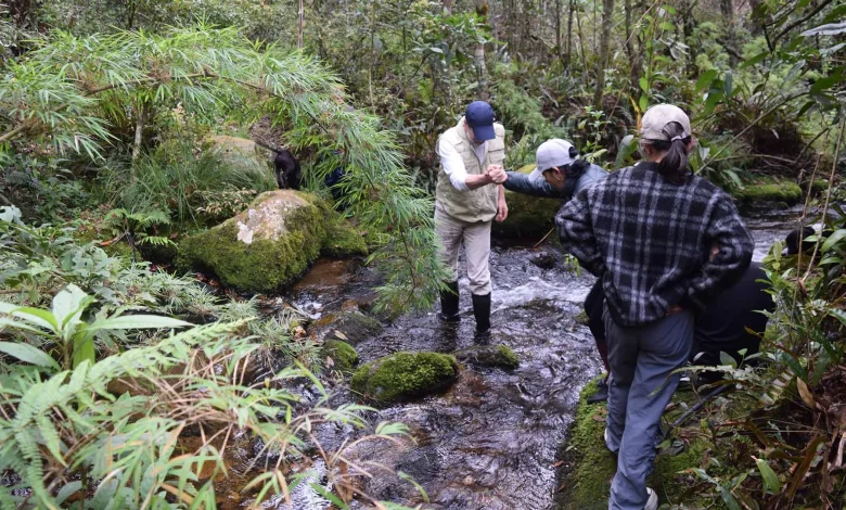 Turismo de naturaleza: una oportunidad para conservar la vida