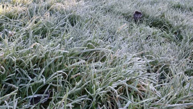 Turning colder with a good deal of dry weather this week