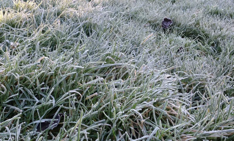 Turning colder with a good deal of dry weather this week