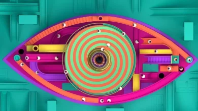 Two Big Brother stars suffer major blow hours before live eviction show