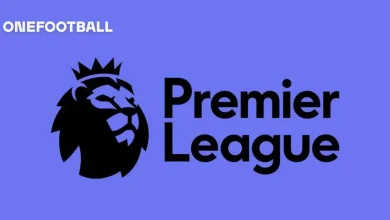 Two Newcastle United stars ranked in 50 best Premier League players so far this season