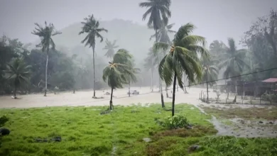 Typhoon Helps Uncover Centuries-Old Shipping Relic