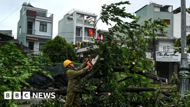 Typhoon Kalmaegi kills three in Vietnam after leaving 188 dead in Philippines