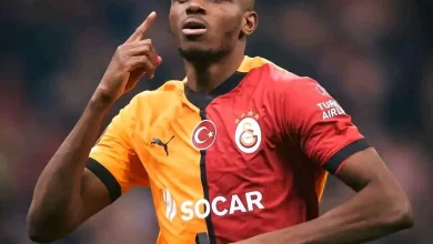 UCL: Osimhen will bring any team to its knees – Ryan Babel warns Ajax