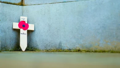 UK falls silent for Armistice Day