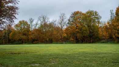 UK weather outlook: A very mild start to November, but is something colder on the way?
