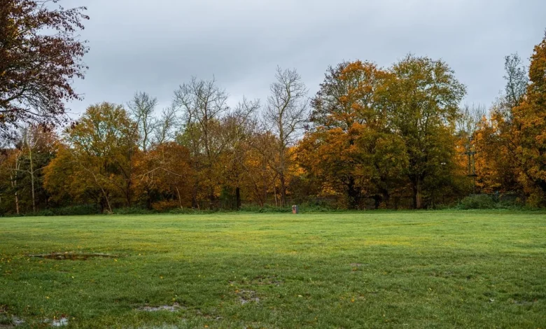 UK weather outlook: A very mild start to November, but is something colder on the way?