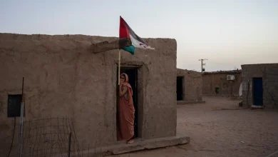 UN Security Council approves resolution backing Morocco's plan for Western Sahara, in a major shift