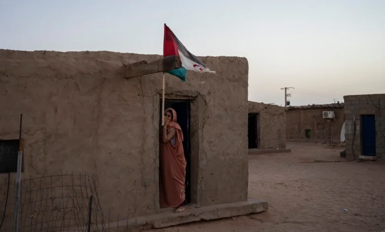 UN Security Council approves resolution backing Morocco's plan for Western Sahara, in a major shift