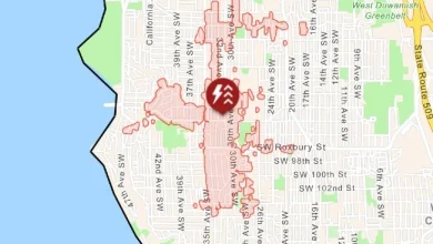 UPDATE: Power outage in south West Seattle; many restored after hour and a half