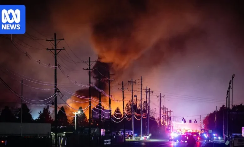 UPS and FedEx ground MD-11 cargo planes after deadly Kentucky crash