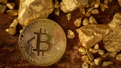 U.S. Ethereum ETF Flows: Fidelity ETH ETF Records $2.2M Outflow - Daily Trading Update Nov 25 2025