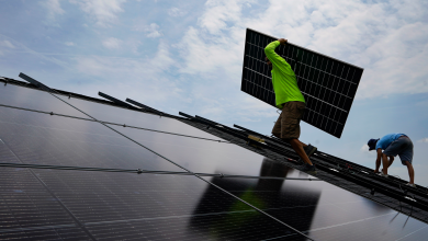 US families’ ‘mind blown’ with cuts to solar rooftop funds