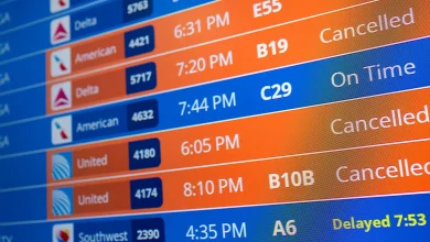 US government shutdown disrupts flights for fifth consecutive day