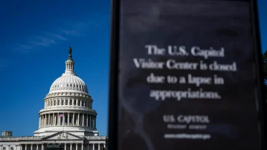 US government shutdown enters 40th day: How is it affecting Americans?