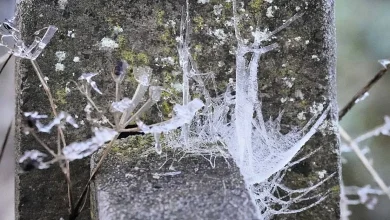 Uisce Éireann urges households to winter-proof homes as cold snap hits