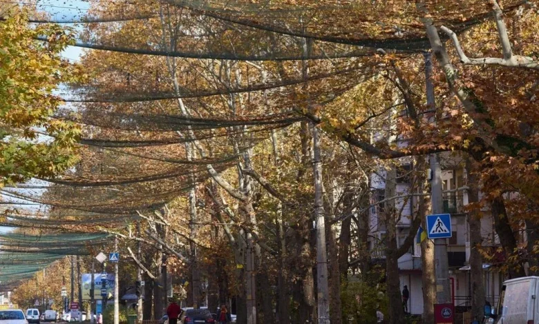 Ukrainian drones reach deep inside Russia as battle for key city rages on