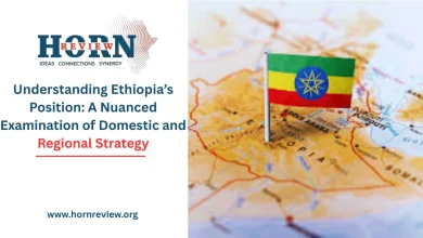 Understanding Ethiopia’s Position: A Nuanced Examination of Domestic and Regional Strategy
