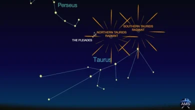 Unique meteor shower competing with ‘super moon’ in Nanaimo skies