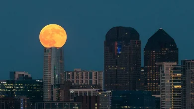 Unusually high November temperatures break climate record Saturday in North Texas
