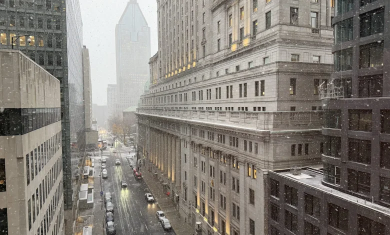 Up to 20 cm of snow expected as Montreal braces for first major snowfall of the season