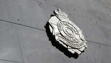 Update 1: Stolen vehicle and family dog appeal, Wynnum