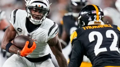 Updated Cincinnati Bengals Betting Odds to win the AFC North