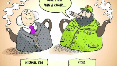 VEERING WEST: We’ve another woolly leftie in Áras an Uachtaráin, poetry to my jaded ears