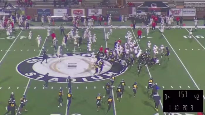 VIDEO: Dozens of Georgia high school football players suspended after sideline-clearing brawl