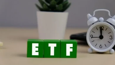 VTI ETF Daily Snapshot—11/24/2025