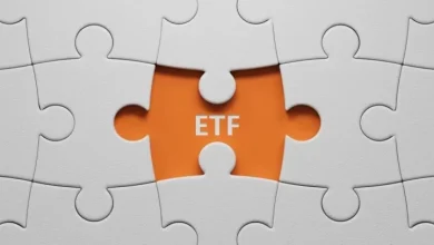 VTI ETF Daily Update: What Investors Need to Know – 11/7/2025