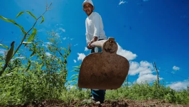 Valorização dos trabalhadores rurais é tema de redação de aplicação especial do Enem no Pará