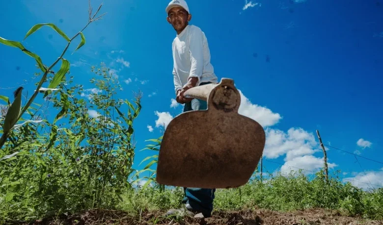 Valorização dos trabalhadores rurais é tema de redação de aplicação especial do Enem no Pará