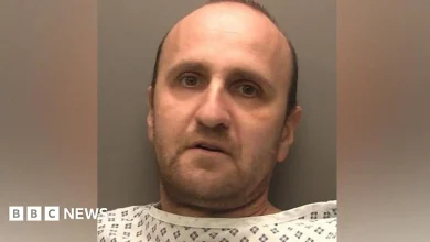 Van driver Veselin Dudenski jailed over crash that killed girl