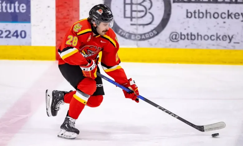 Vancouver Canucks Organization Officially Announces Signing of 25-Year-Old Forward