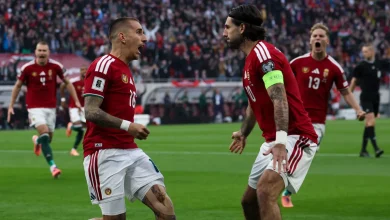 Vb-selejtező: Magyarország–Írország