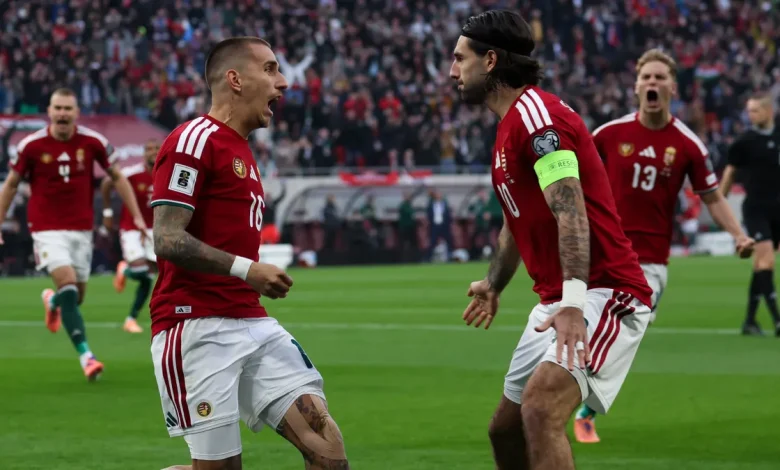 Vb-selejtező: Magyarország–Írország