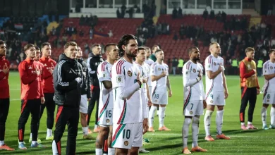 Vb-selejtező: Örményország–Magyarország: 0–1