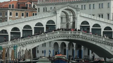 Venise : un dauphin aperçu à plusieurs reprises dans la lagune