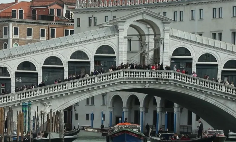 Venise : un dauphin aperçu à plusieurs reprises dans la lagune