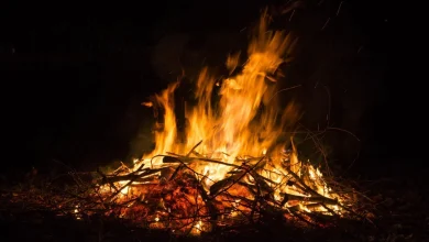 Very mild for Bonfire Night but supermoon spring tides bring coastal flooding risk