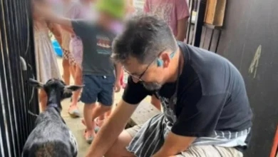 Video: Police probe child sex offender’s employment at petting zoo café