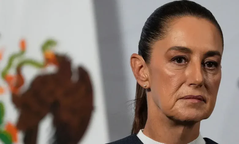 Video Shows Mexican President Sheinbaum Sexually Harassed in Street