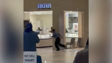 Video shows a smash-and-grab robbery at GTA jewellery store