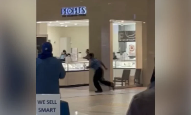 Video shows a smash-and-grab robbery at GTA jewellery store