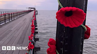 Video shows striking 110,000-poppy display on pier